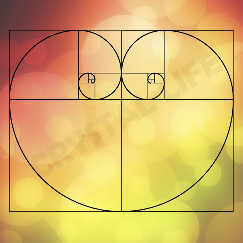 Fibonacci Online Fibonacci Online